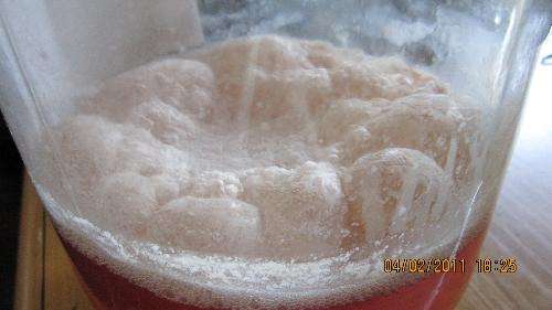 微生物發酵消泡